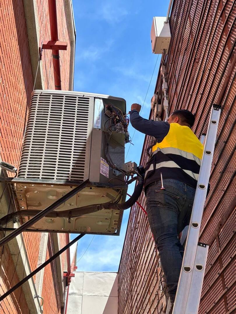 Servicio técnico especializado